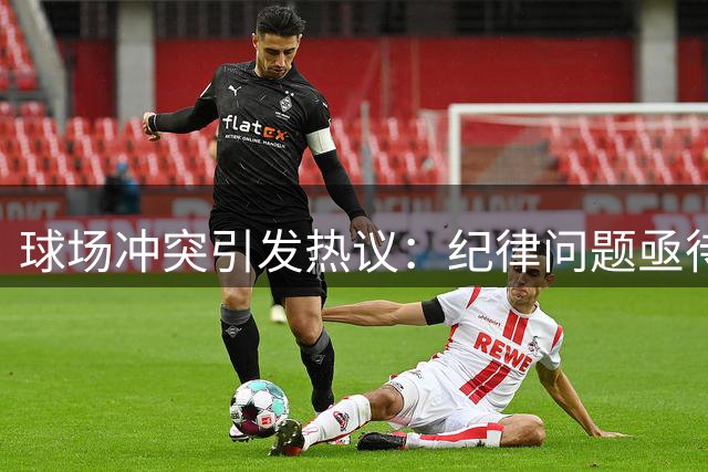 球场冲突引发热议：纪律问题亟待关注